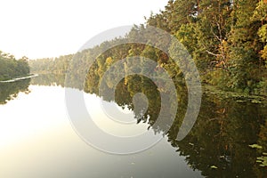 Parallel world and Mirroring - forest in the river