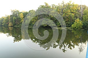 Parallel world and Mirroring - forest in the river 2