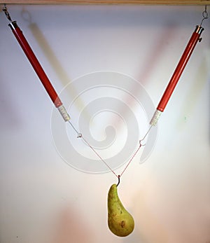 The parallelogram of forces