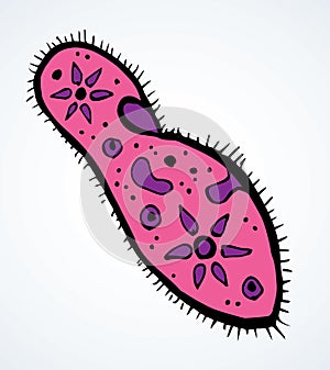 Paramecium caudatum. Vector drawing icon