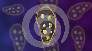 Paramecium protozoa 3d illustration. Euglena Viridis proteus