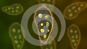 Paramecium protozoa 3d illustration. Euglena Viridis proteus