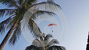 Parameter over coconut tree under blue sky