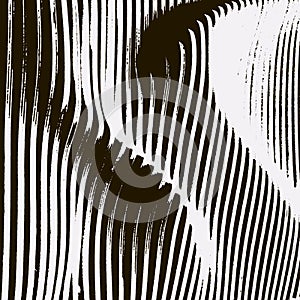 Parametric black and wite wave texture photo