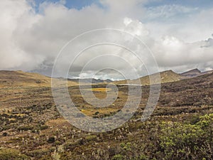 Paramo de Chingaza in Colombia, frailejones, espeletia grandiflora, endemic flowers of the paramo of south america, the lake of