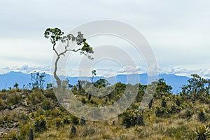 Paramo Hiking in the Protected Natural Area of Belmira photo