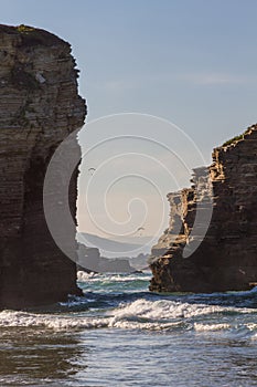 Paramotor on the beach