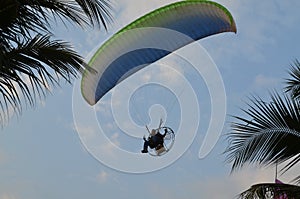 Paramotor over the palms