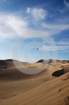 Paramotoring over in the desert