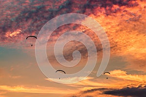 Paramotors flying on sunset
