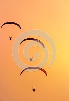 Paramotors flying on sunset