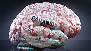 Paranoia and a human brain