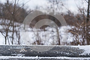 Parapet of Snow bridge in new york, central park.