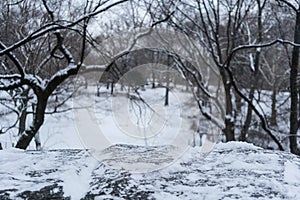 Parapet of Snow bridge in new york, central park.