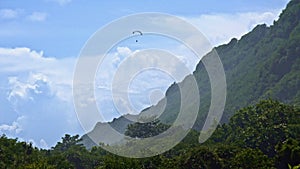 Paraplan over green mountain