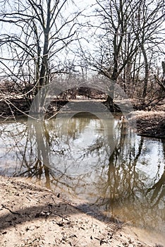 Parapotamon of Odra river in CHKO Poodri in Czech republic photo