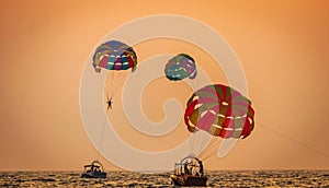 Parasailing in goa, baga beach India during sunset