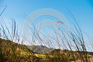 Parasailing over Las Flores beach surrounded by growing trees photo