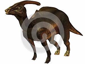 Parasaurolophus
