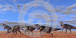 Parasaurolophus Desert photo
