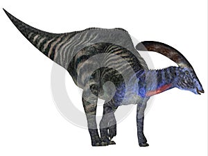 Parasaurolophus Dinosaur Body