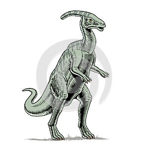 Parasaurolophus dinosaur isolated on white background, vector illustration