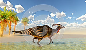 Parasaurolophus Dinosaur Lakeshore with Palm Trees photo