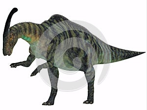 Parasaurolophus Dinosaur on White