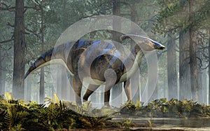 Parasaurolophus in a Forest photo