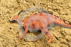 Parasaurolophus on sand concept ofanimal excavating