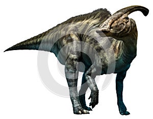 Parasaurolophus walkeri photo