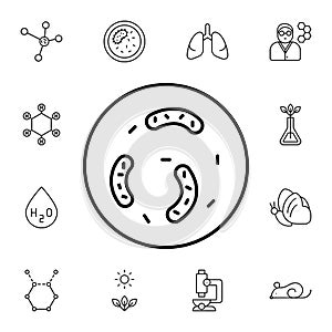 Parasite flat vector icon in biology pack