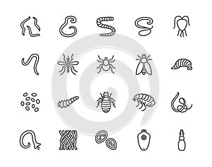 Parasites flat line icons set. Intestinal worm, helminth, sandfly, tick, dog flea, leech, qiardia, dengue mosquito