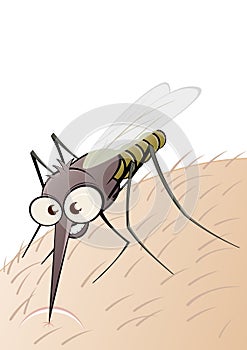 Parasitic bug on flesh photo
