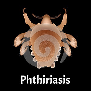 Parasitic diseases of Phthiriasis. Pediculosis pubis. Pubic lice structure. Sexually transmitted diseases. Infographics