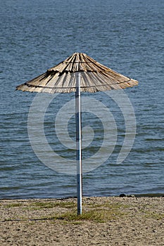 Parasol