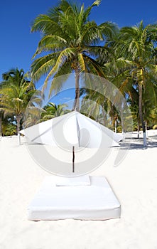 Parasol beach tropical umbrella mattress