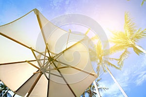 Parasol under coconut trees against blue sky on a very hot day. photo