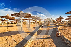 Parasols on the beach of Red Sea