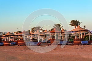 Parasols and sunbeds on the Red Sea
