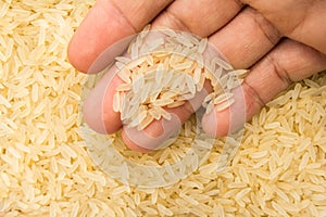 Parboiled Chinese Rice seed. Person with grains in hand. Macro.