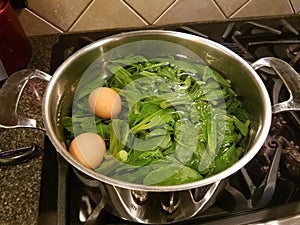 Parboiling Polk Salat Leaves in stainless steel pot on stove with eggs photo