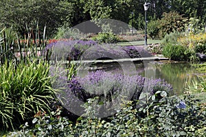 Parc de la Tete d'Or