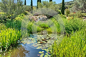 Parc De Saleccia - Pond