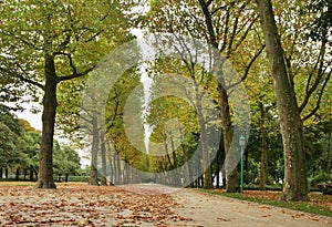 Parc du Cinquantenaire â€“ Jubelpark. Brussels. Belgium