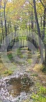 Parc Michel-Chartrand, Longueil, Quebec, Canada