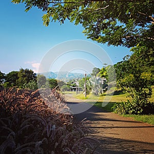 Parc Reunion island sky sport nature green photo