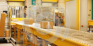 The parcel is on the conveyor belt. Concept of automatic logistics management