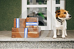 Parcel Delivery Outside Door