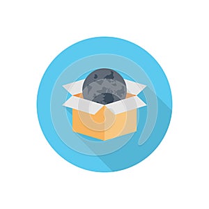 Parcel vector flat color icon